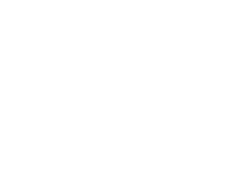 PwC_logo_white outline